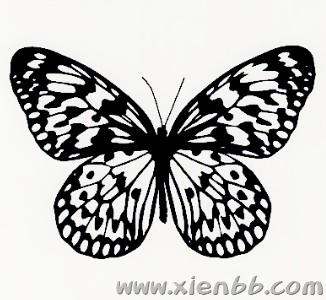 ӤӾѵڰף