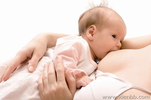 孕期乳汁分泌知识解答