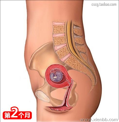 宝宝的十个月时光