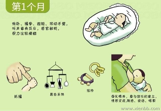 0-3岁婴幼儿发育图解