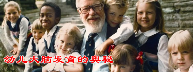 幼儿大脑成长的秘密!